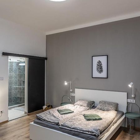 Design Studios Downtown 布达佩斯 外观 照片