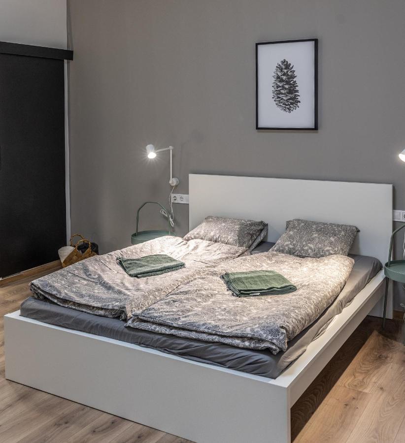 Design Studios Downtown 布达佩斯 外观 照片
